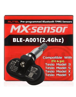 Valve TPMS 2.4Ghz Tesla