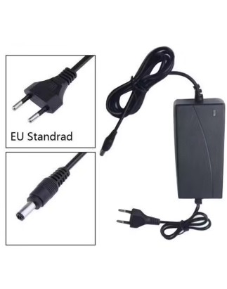 Chargeur secteur 12v maxisys